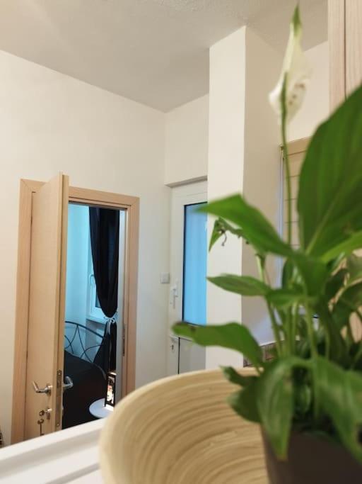 Esteticaapartments Rhodes City エクステリア 写真